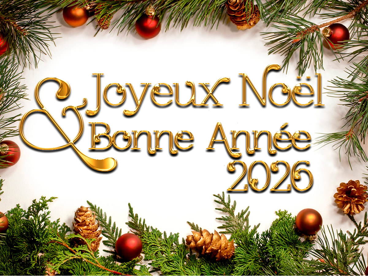 Voeux Noël et Bonne Année&nbsp;2026